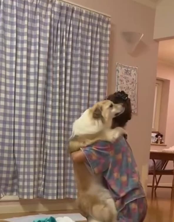 ペコ　眠気と戦うアリソン　 友達が撮ってくれた癒しの抱っこ動画