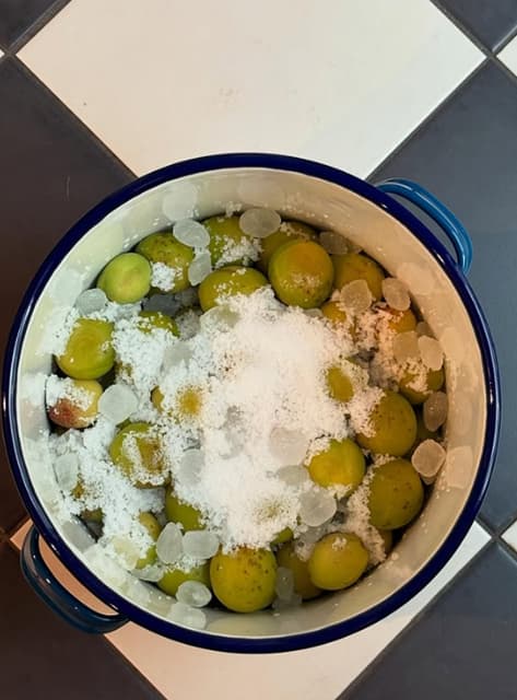 常盤貴子、無事に終了した梅の仕込み写真を公開「出来上がりが楽しみですね！」