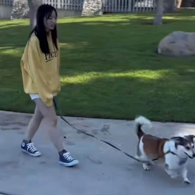 美人お天気キャスター・犬と戯れる