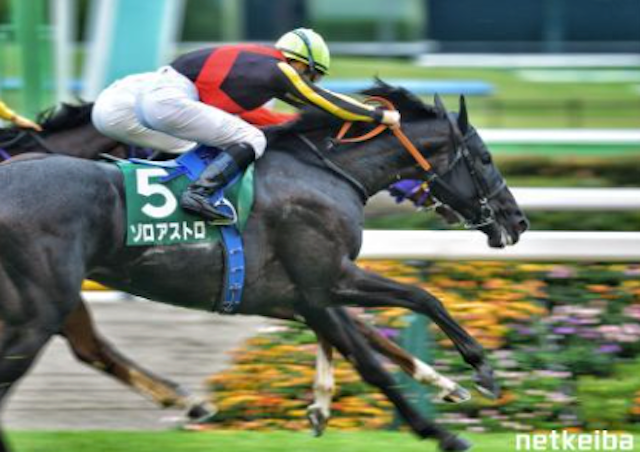 【きさらぎ賞】ゾロアストロが重賞初V ゴール前4頭の大接戦制す