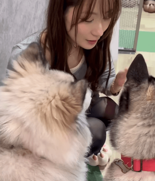 「控えめに言って可愛いワン」美女タレント、高級住宅街のカフェへ！愛しのワンコ・ムービーにファンヒーリング状態「戯れる姿に癒される」