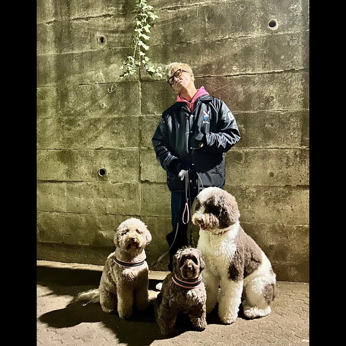 木村拓哉の愛犬が大集合!!　散歩の距離は脅威の〇〇歩!?