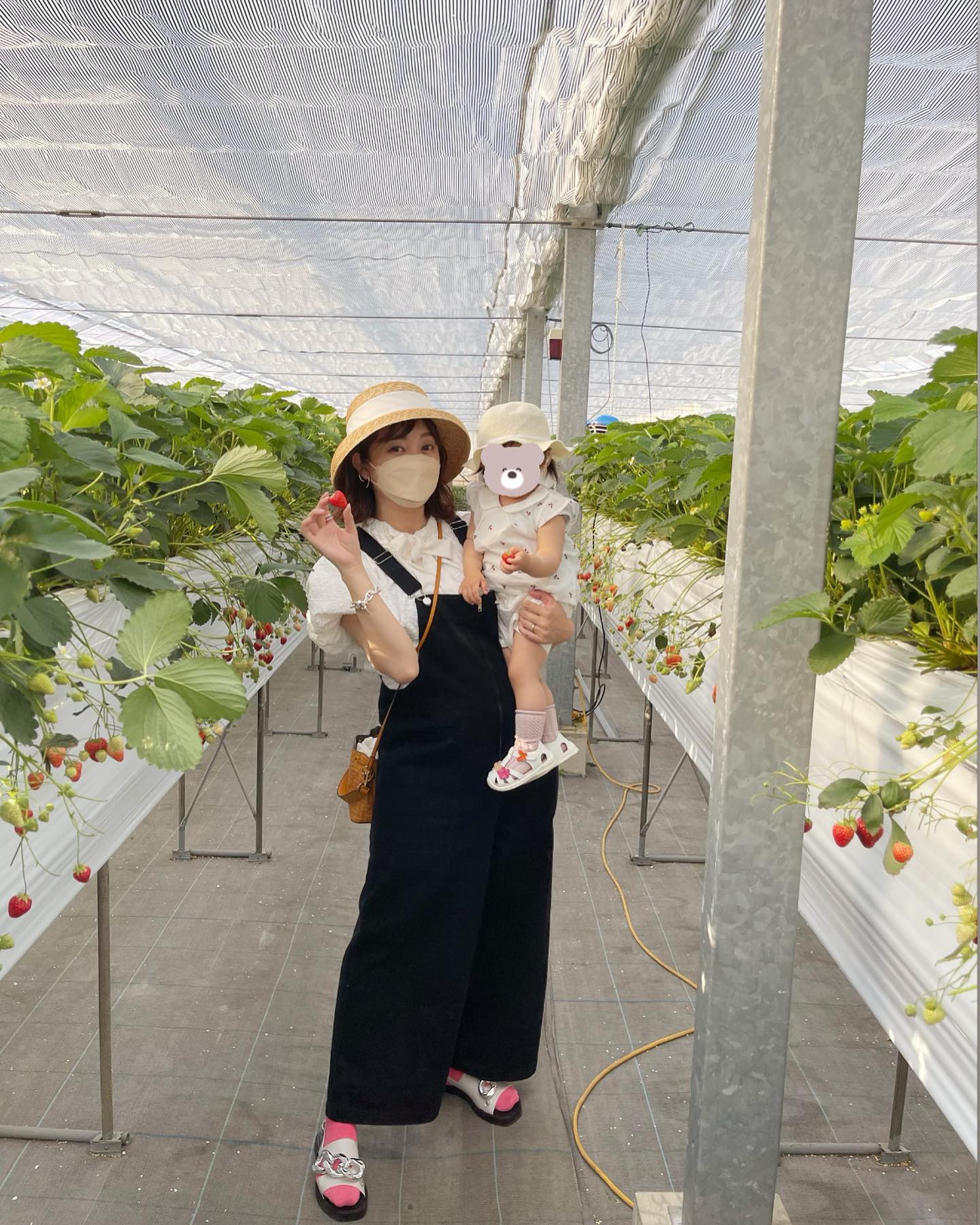 「パパが一番沢山食べました🤣👍」菊地亜美さんが家族でいちご狩りへ🍓👼