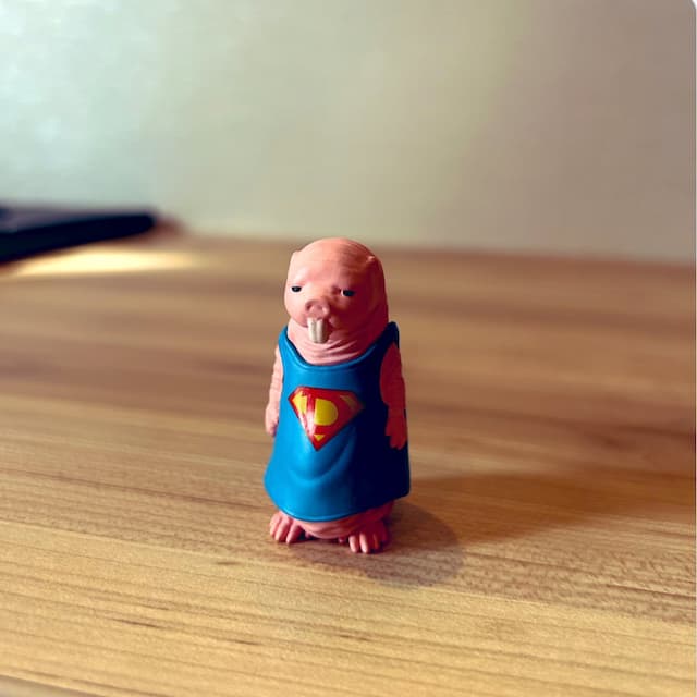 「仕事で地方に行く時に妻と娘がちょこちょこ俺のリュックに忍ばせてくるハダカデバネズミ。」JOYの家族エピソードにほっこり