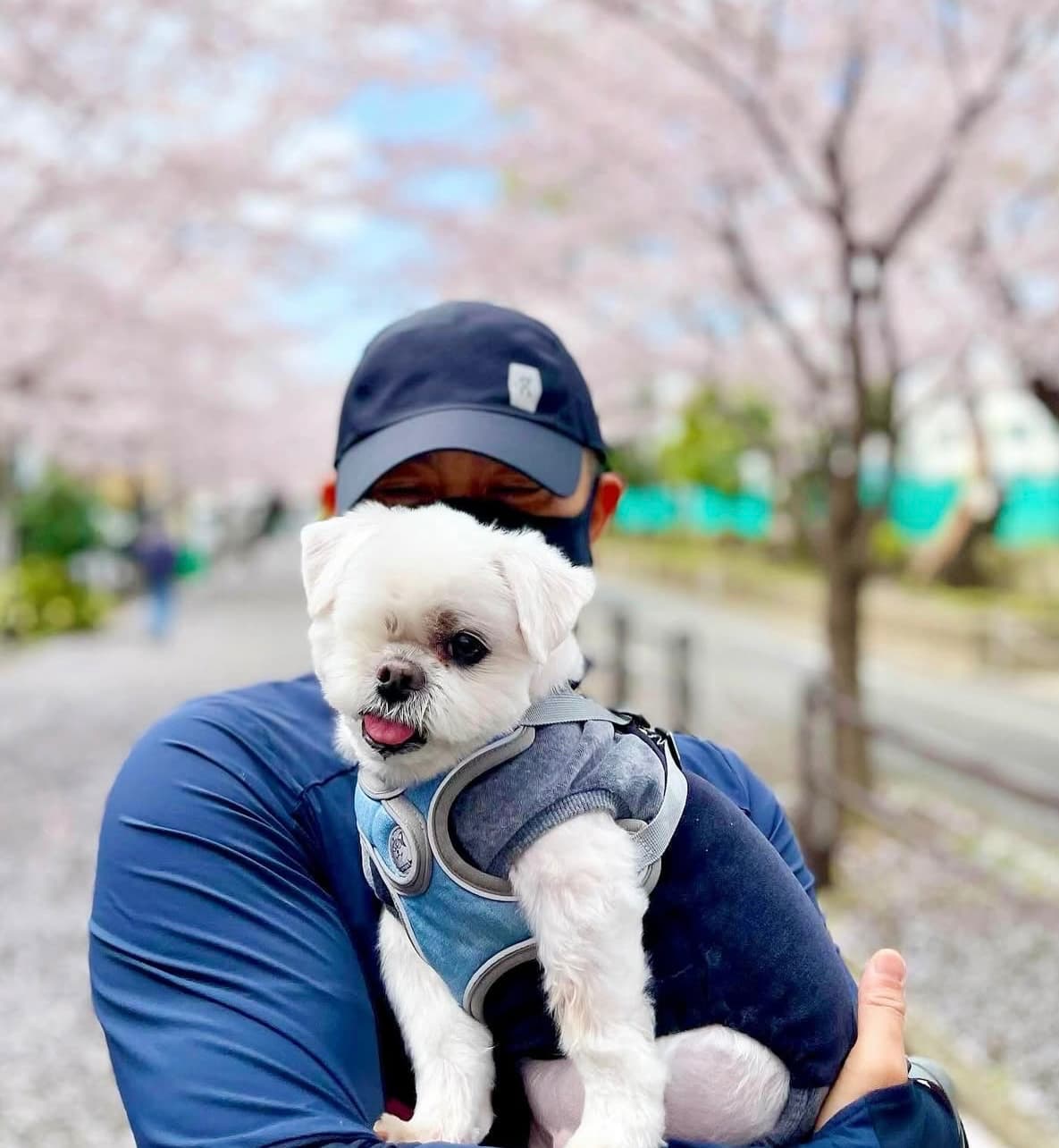 前園真聖＆愛犬・アンジェロ、思い出の仲良し2ショットにファンほっこり！