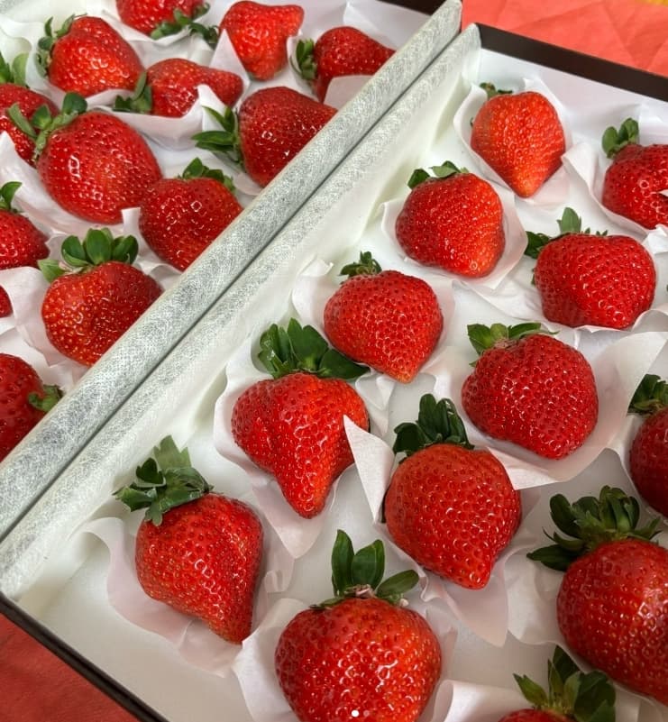 こんなにもたくさん⁉ハイヒール・モモコが毎年贈られてくる楽しみな甘い苺をシェア