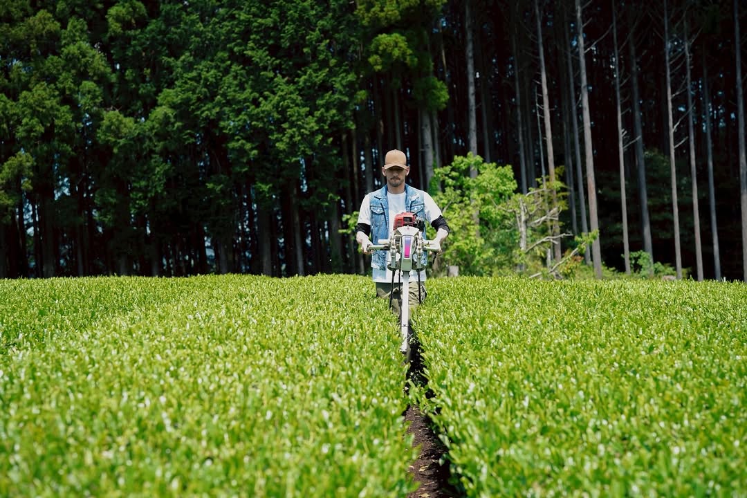 元サッカー日本代表・中田英寿が“お茶農家”に！？長崎伝統の味を発信