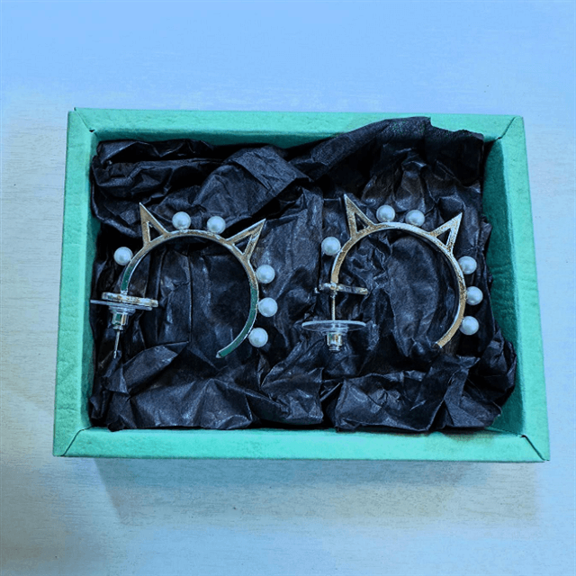 着用が待ち遠しい！相川七瀬、スタッフから「ねこピアス」を贈呈してもらう