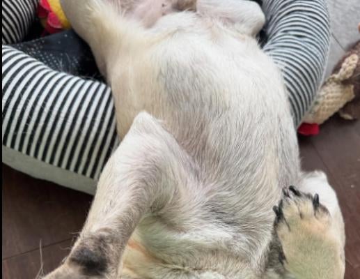 ウナギ・サヤカ、富士丸にメロメロ！『かわいいにまじめ』