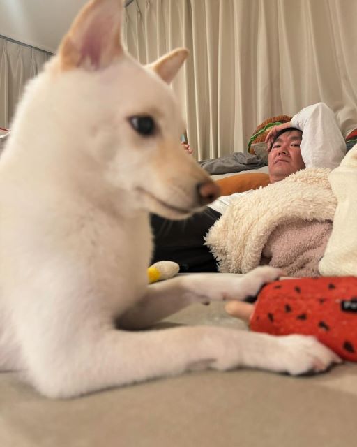 かまいたち山内アップの「むぎのASMR」は癒し効果抜群と話題！