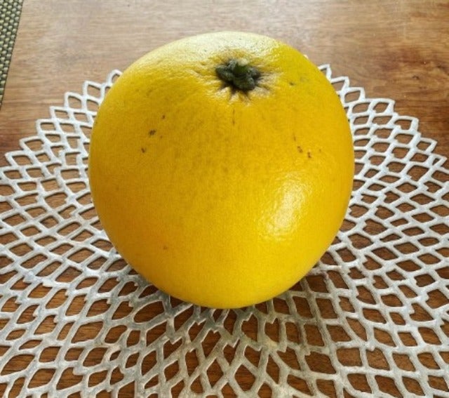 杉田かおるが「はますかむすび」の庭で採れた「晩白柚　(ばんぺいゆ)」を紹介！