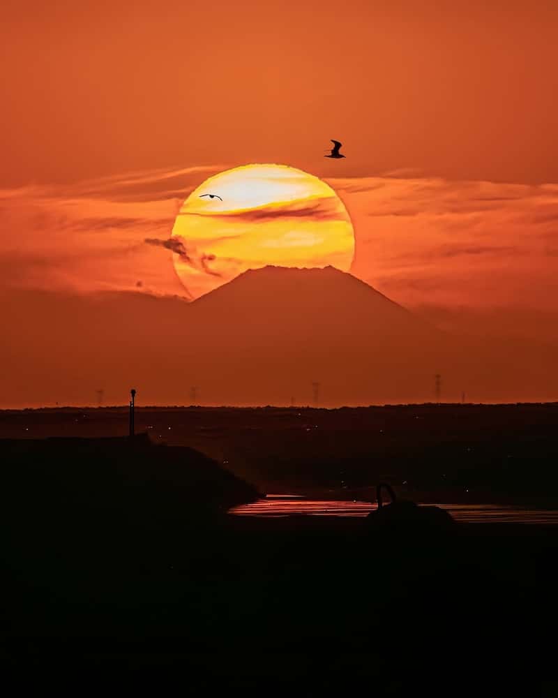 「ホウキに乗った魔女」SHOCK EYEがハロウィンぽい写真を投稿