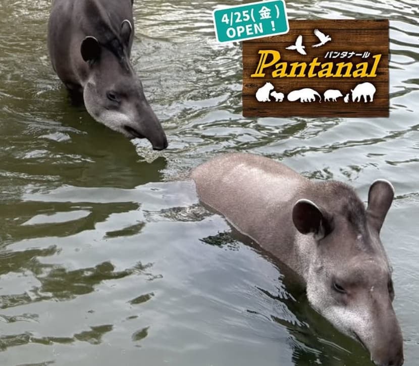 「癒される〜♡」神戸どうぶつ王国に新エリア登場！！