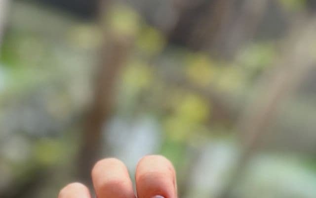 「可愛くなって気持ちがあがる」菊地亜美、久しぶりのネイルサロンで春らしさ満開のネイルを公開！