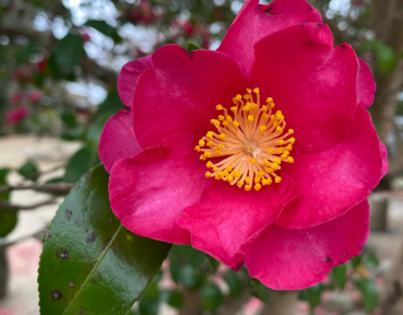 「次男の中学受験、終わったーーー！」板谷由夏、母としての思いを綴る