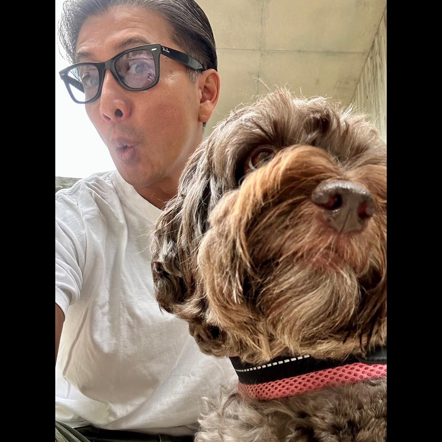 キムタクが愛犬とツーショット！散歩中に起きた