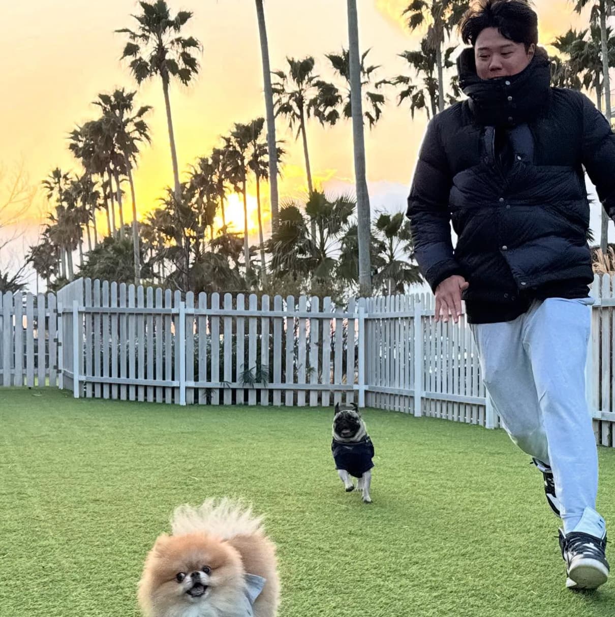 ソフトバンク・上茶谷大河、ポメラニアン&パグとドッグランにて競走？！