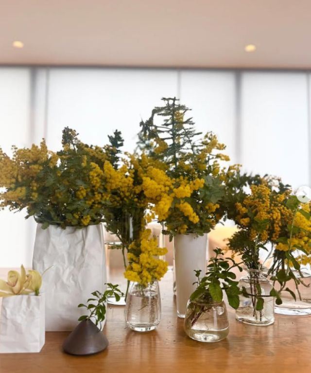 3月8日はミモザの日！氷川きよしが育てる美しいミモザを公開