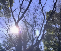 「癒しのひととき」比嘉愛未、青空を見上げる動画公開