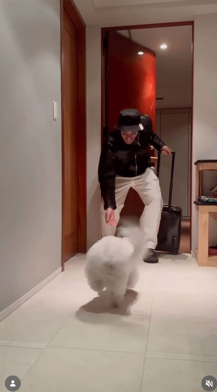 槙野智章、帰宅直後の“熱烈歓迎”に笑顔 愛犬ぱんちゃんと再会