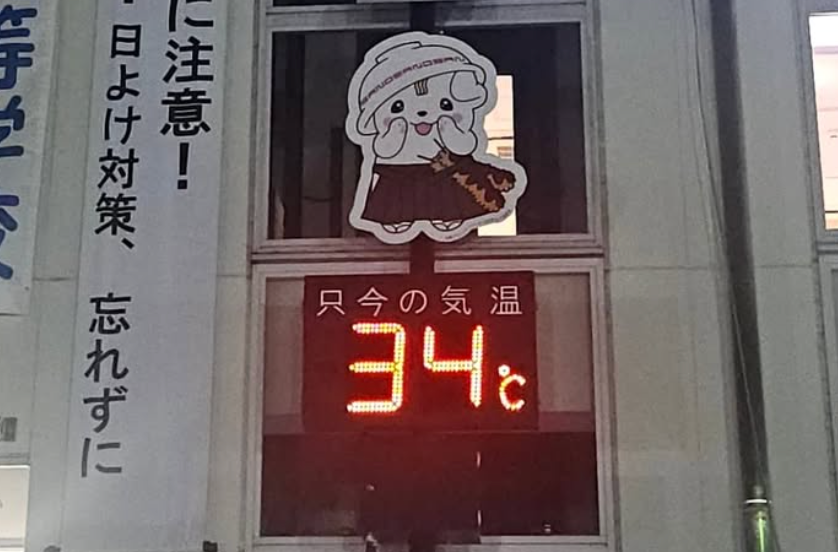 猛暑でも笑顔！U字工事・益子卓が佐野で34℃の夜に“夜サクレ”を満喫