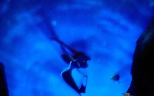 アリエルの住むに引き込まれる！WEST.中間淳太がカリフォルニアのディズニーランド・リゾートを満喫