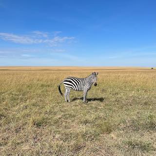 西野カナ まさかの接近ショットにファン衝撃 「え、そんなに近くまで行けるんですね」のコメント殺到