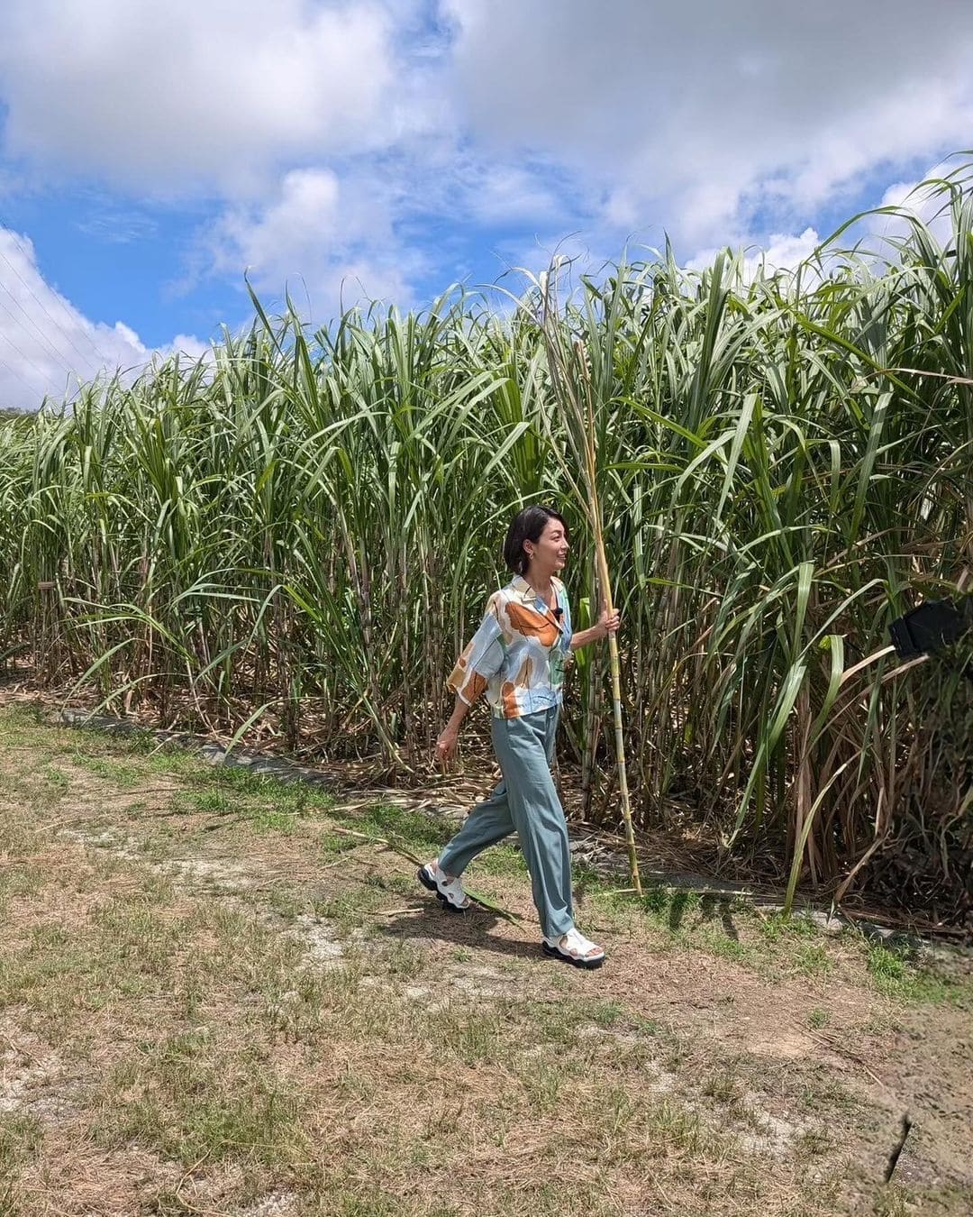 「ほんと毎回着てる洋服タイプ！！相武紗季 沖縄を満喫！