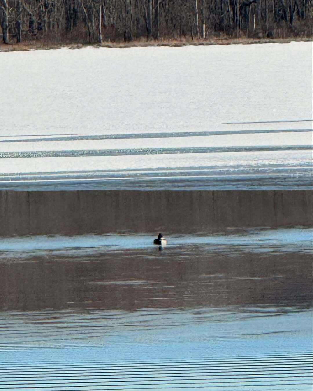 Mrs. GREEN APPLE・若井滉斗、番組で訪れた標茶町のショットを公開！