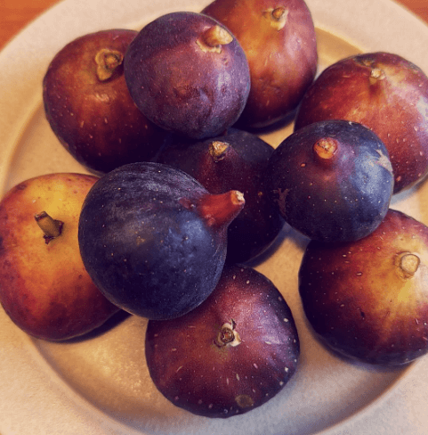 上野樹里、地元から届いた無花果に感動！健康にも嬉しい“自然の恵み”をシェア