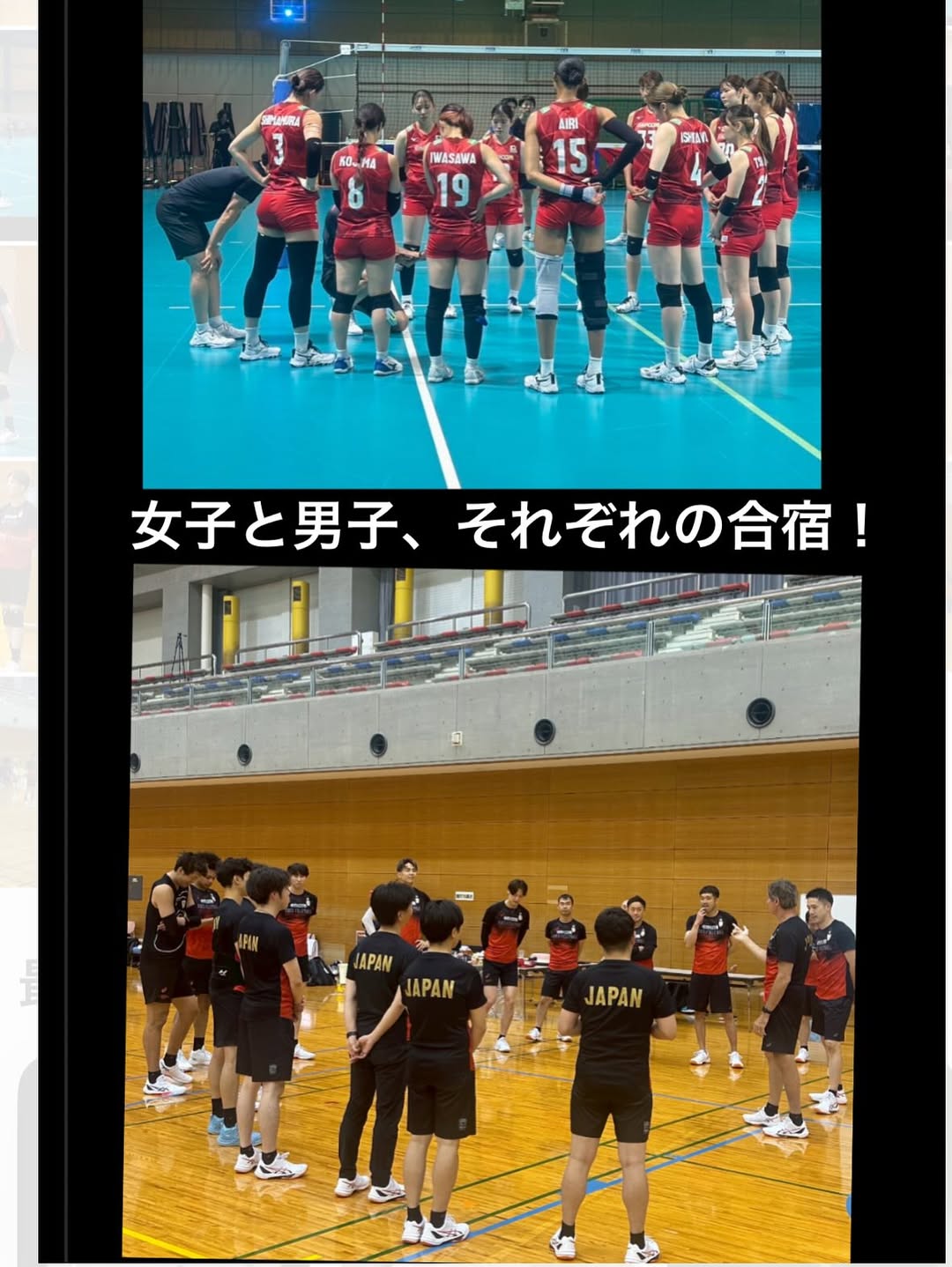 川合俊一が世界選手権へ向けての合宿開始を報告！