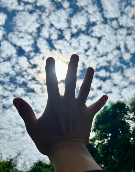 木村拓哉が見上げる空…緑と青空のコントラストで気持ちがスッキリ！