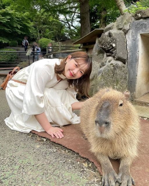 大人気YouTuber.きりまる、初の伊豆旅行へ!グルメと自然を大満喫する旅!