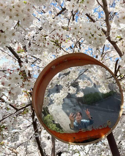 加藤ローサ、春満開のミラーセルフィーに癒される！新生活へ“なんとかなるさー”のエールも