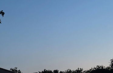 猫沢エミ、夕暮れの空に想いを託す「我、人生に悔いなし」投稿が話題