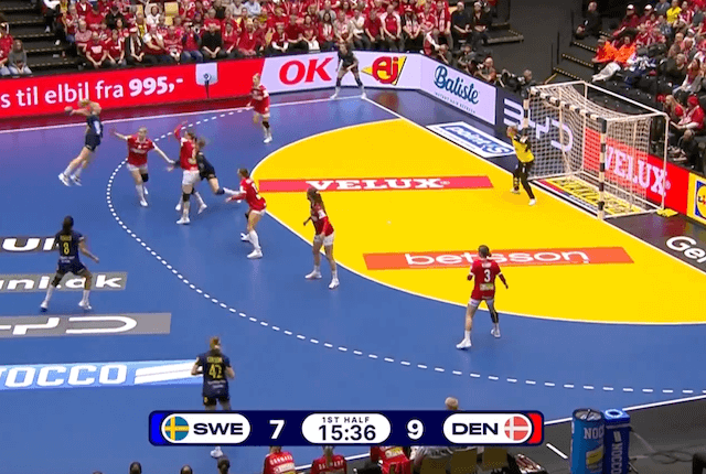 【ハンドボール】第26回女子世界選手権 3位決定戦 スウェーデン vs. デンマーク