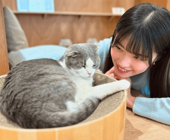 「目力で猫ちゃんを手懐けてる…」美女アナウンサー、猫カフェで見せた”アイズ・TO・マジックショット”にファン夢中「猫になりたい」