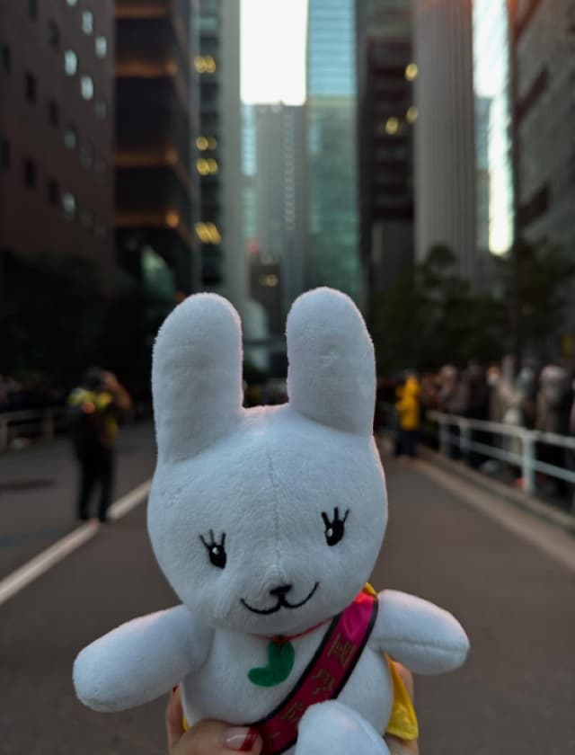 相川七瀬が箱根駅伝を観戦「全ての大学の選手にお疲れ様andありがとうを言いたいです」