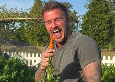 ベッカムが桁違いな家庭菜園を披露！ニンジンを収穫もまさかのハプニングで妻のヴィクトリアが大爆笑