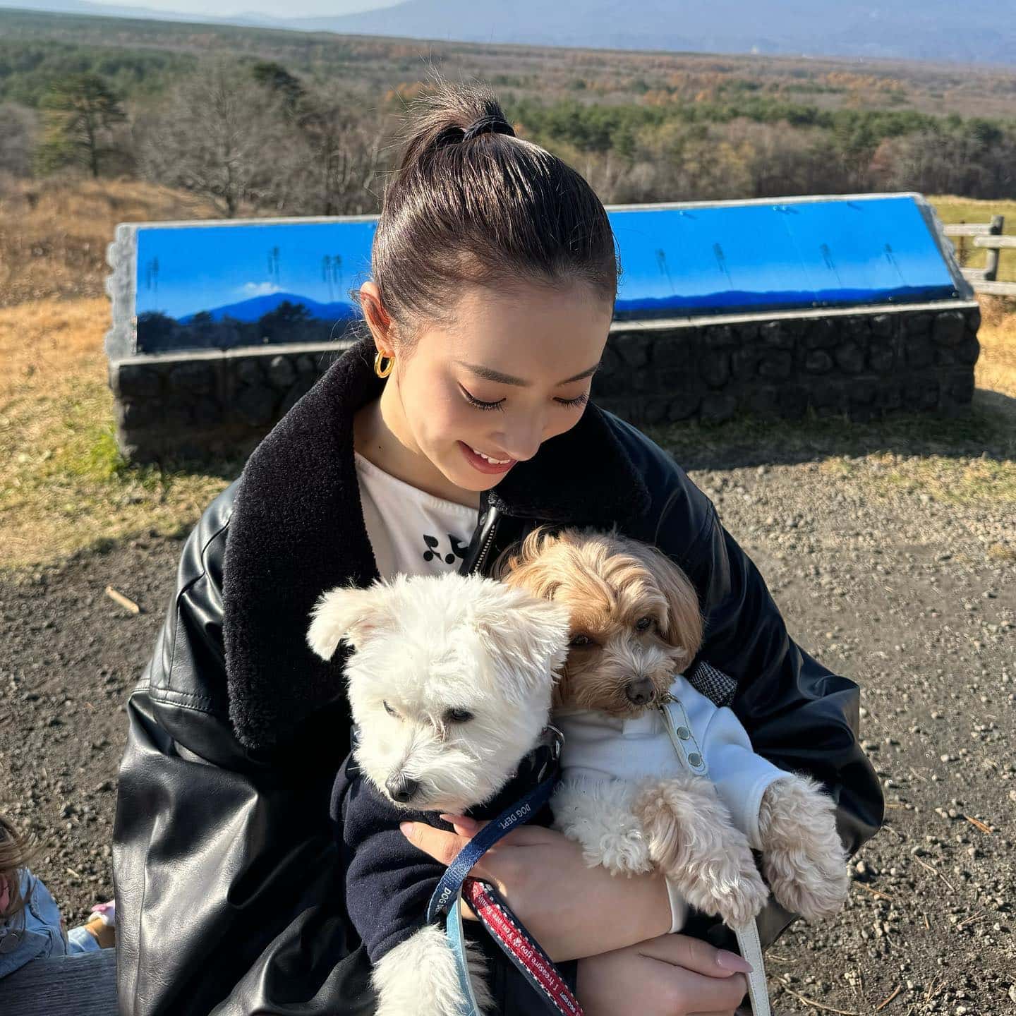 中町綾 愛犬テディベアとの休日を公開🤎