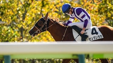 角田騎手が騎乗結果を振り返る