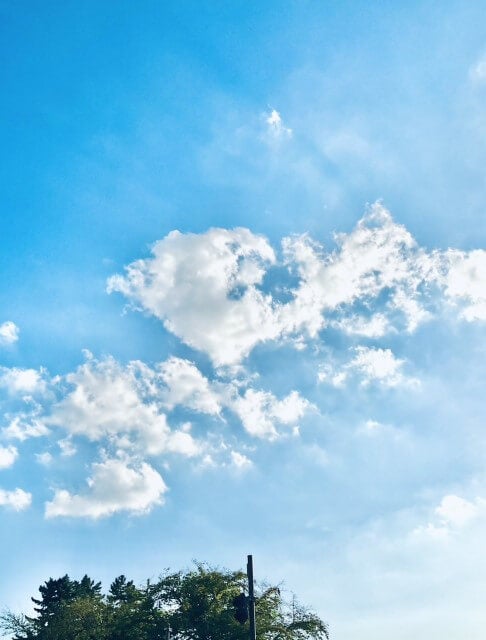 「どっかの誰かさんみたいに」あの人気男性声優がSNSで話題の“野生の大物声優”に言及！？