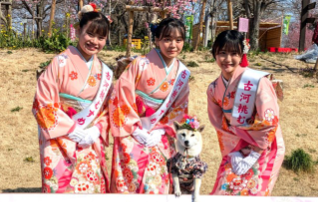 「ゆうこちゃん」も飛び入り参加！古河市で桃まつりが開幕、春爛漫の風景広がる！