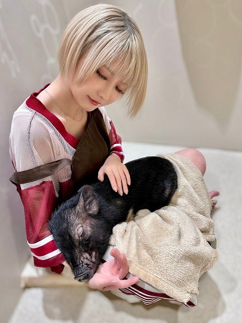 可愛すぎる共演！人気グラドルとミニブタのキュートな光景に注目集まる