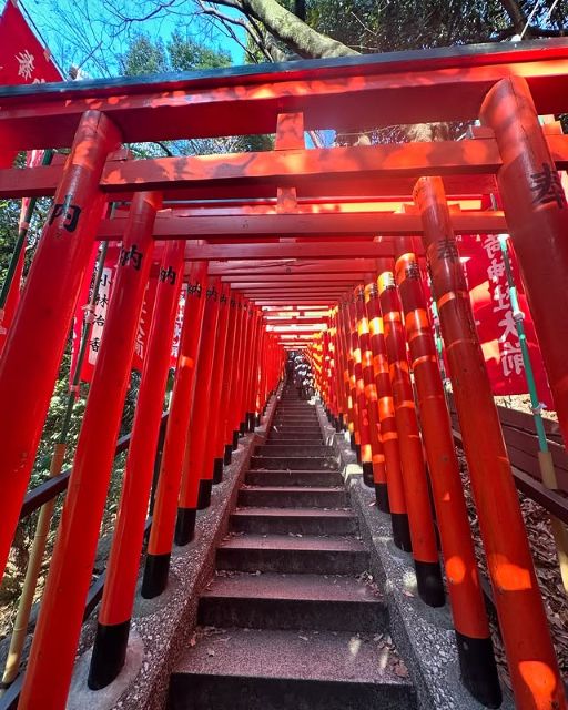 「良いことじゃないことが続いて」伊達公子、