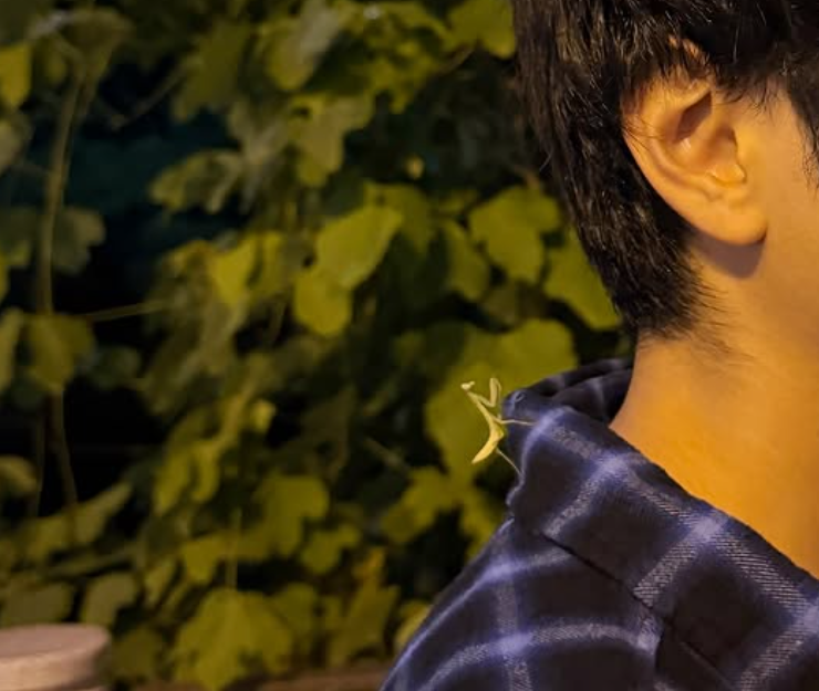 「虫にも好かれるの？！」timelesz・佐藤勝利、カマキリとの仲良しツーショットにファン騒然