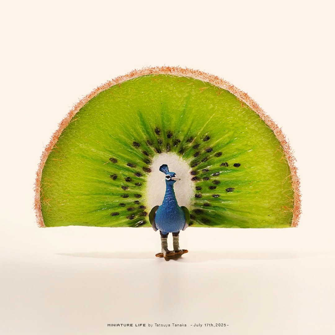 田中達也、クジャクの羽を〇〇で表現！？素敵すぎると話題に