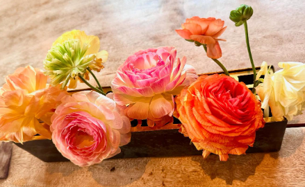 「マリさんの朝が好き」夏木マリ、“おはようシリーズ”最新投稿に癒しの声続々