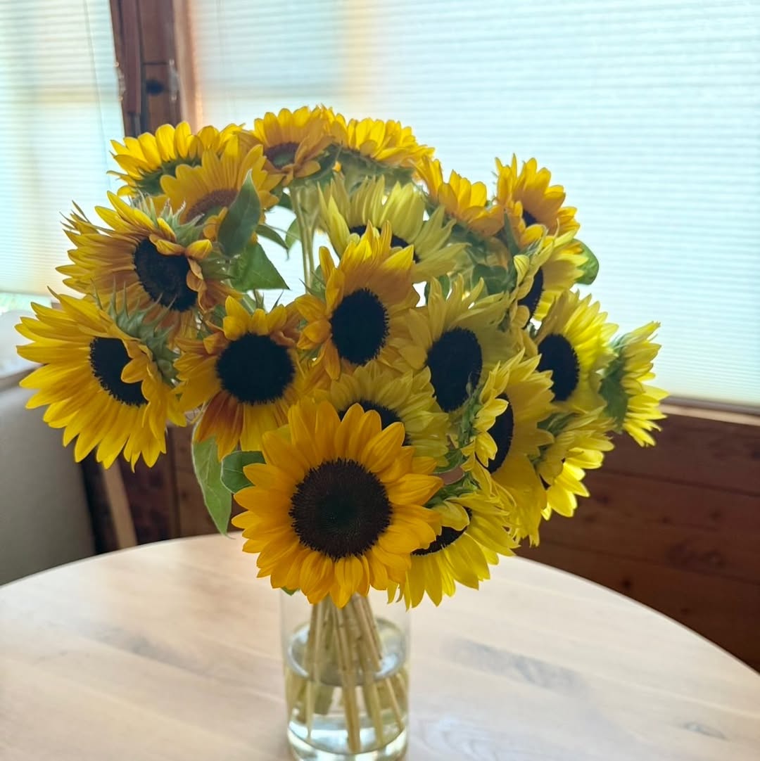 女子アーティスティックスイミング・小谷実可子、結婚26周年の喜びと世界マスターズへの思いを綴る！