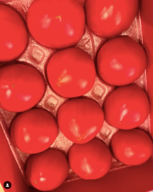 小川菜摘が真っ赤な新鮮トマトを披露！